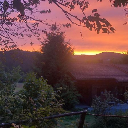 Ferienhaus Schlagintweit Drachselsried Exteriör bild