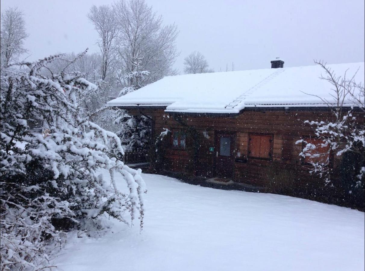 Ferienhaus Schlagintweit Drachselsried Exteriör bild