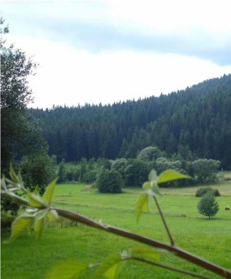 Ferienhaus Schlagintweit Drachselsried Exteriör bild